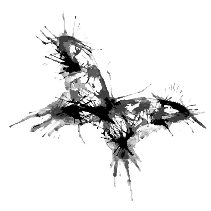 Fototapete Schwarz-weißer Schmetterling