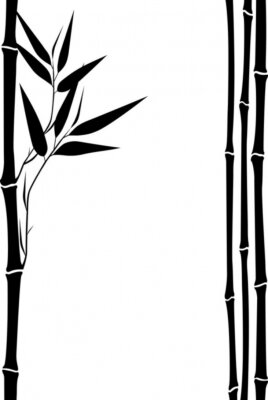 Fototapete Schwarz-weißes Design mit Bambus