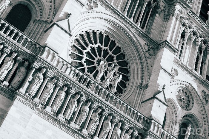 Fototapete Schwarz-weißes Element der Notre-Dame-Kathedrale