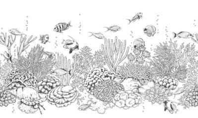 Schwarz-weißes Korallenriff und Fische