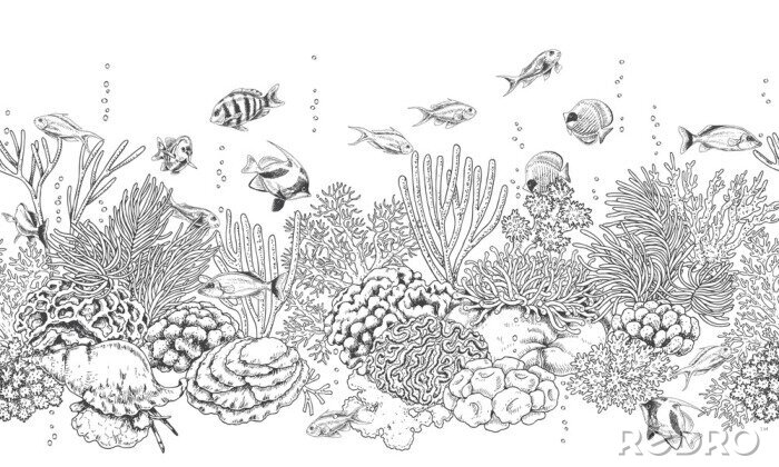 Fototapete Schwarz-weißes Korallenriff und Fische