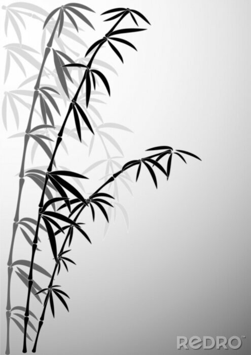 Fototapete Schwarz-weißes Motiv mit Bambus