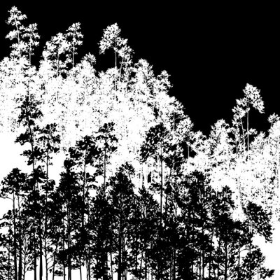 Fototapete Schwarz-weißes Muster mit Bäumen