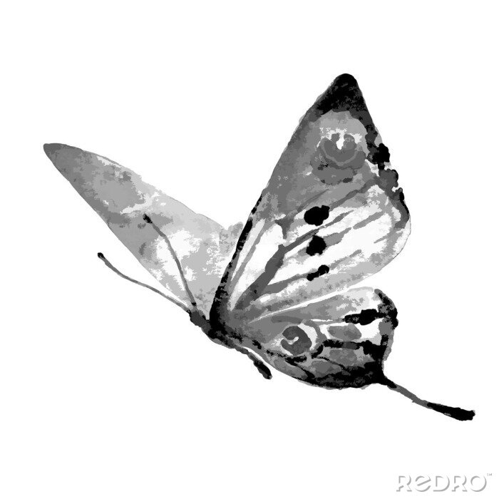 Fototapete Schwarz-weißes Muster mit Schmetterling