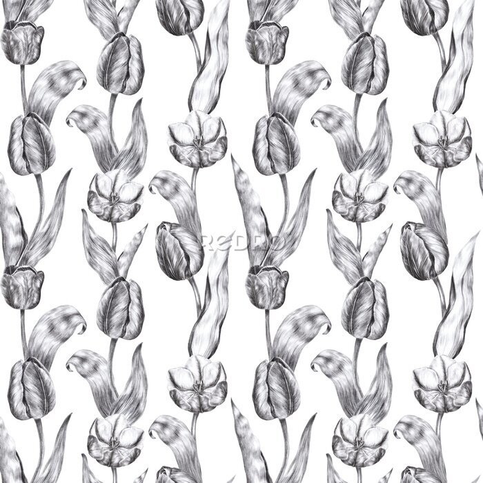 Fototapete Schwarz-weißes Muster mit Tulpen