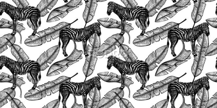 Fototapete Schwarz-weißes Muster mit Zebras inmitten von Bananenblättern