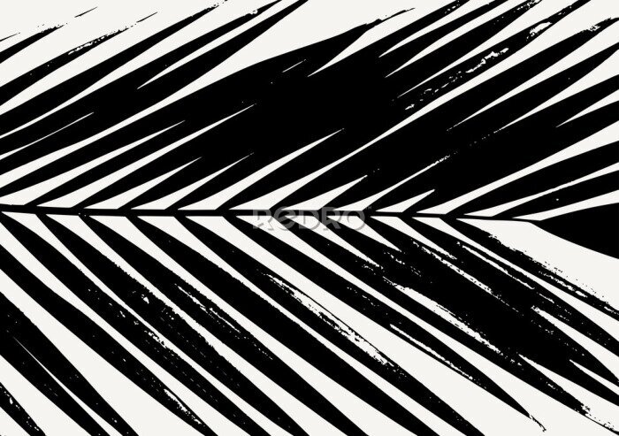 Fototapete Schwarz-weißes Palmenblatt