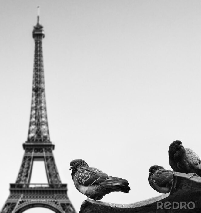 Fototapete Schwarz-weißes Paris