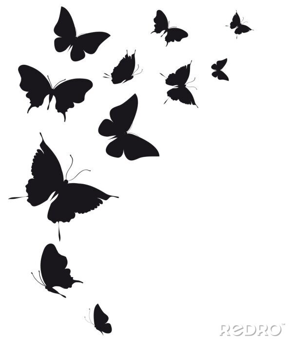 Fototapete Schwarze Schmetterlinge auf hellem Hintergrund