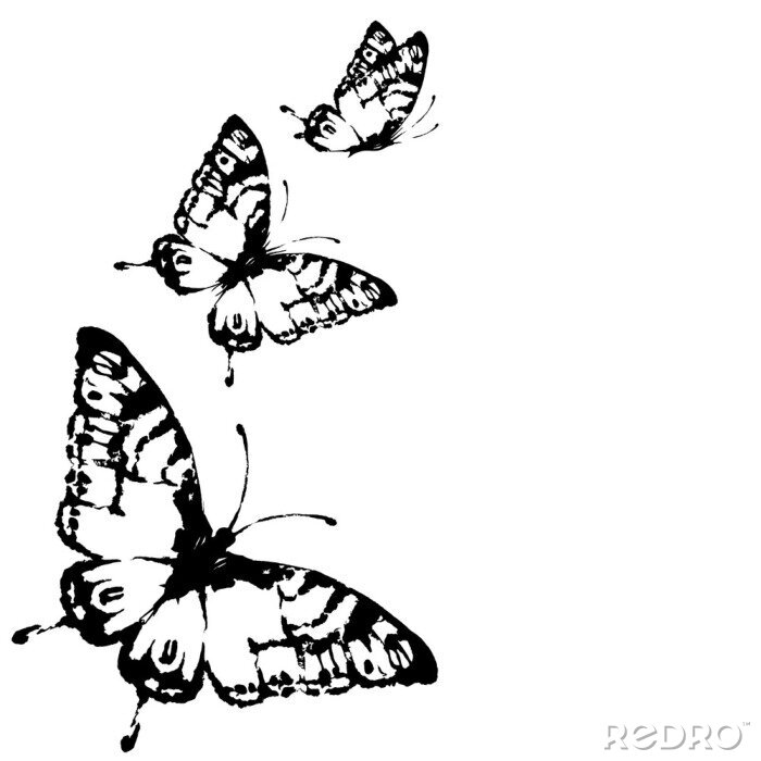 Fototapete Schwarze Schmetterlinge auf weißem Hintergrund