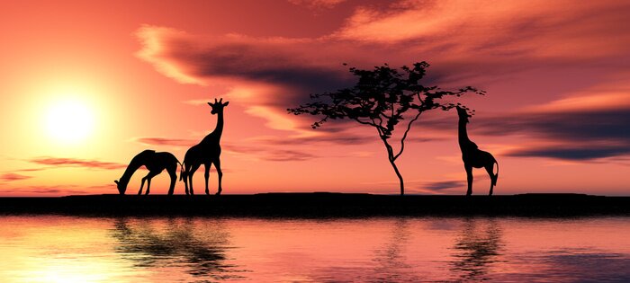 Fototapete Schwarze Silhouette der Tiere