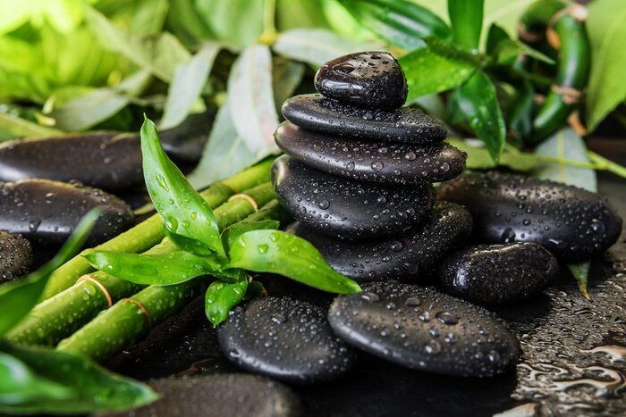 Fototapete Schwarze Steine und Bambus