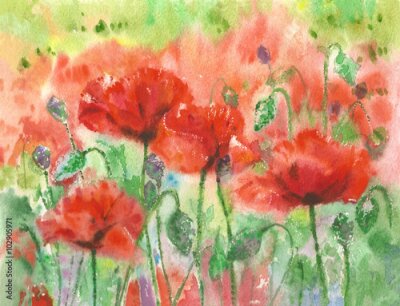 Fototapete Schwarze und aquarellierte Mohnblumen