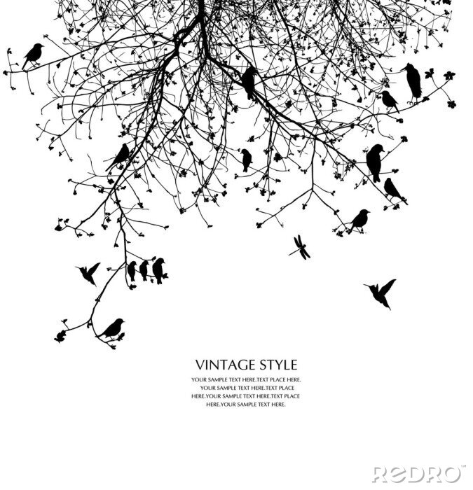 Fototapete Schwarze Vögel am Baum