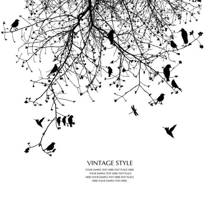 Fototapete Schwarze Vögel am Baum