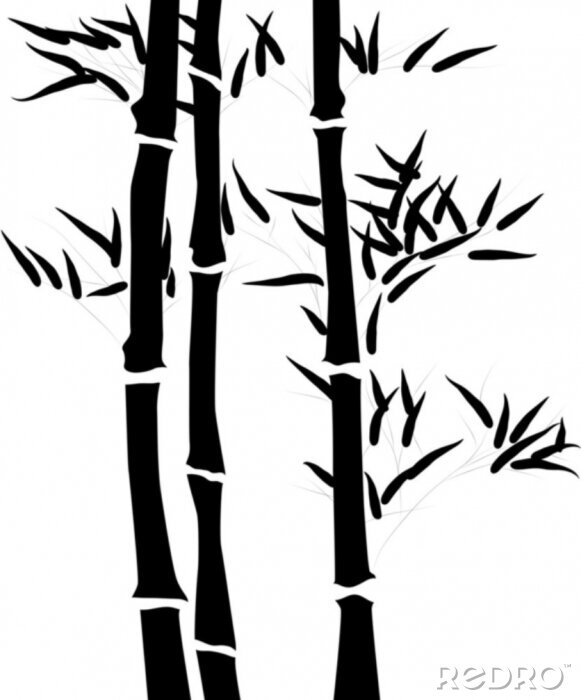 Fototapete Schwarzer Bambus auf weißem Hintergrund