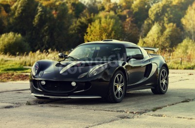 Fototapete Schwarzer Sportwagen und Natur