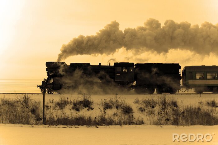 Fototapete Schwarzer Zug am winterlichen Tag