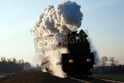Fototapete Schwarzer Zug im Dampf