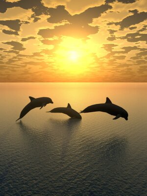 Fototapete Schwimmende Tiere vor dem Hintergrund der Sonne