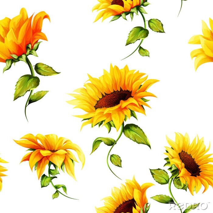 Fototapete Seamless pattern of sunflowers on white. Hand drawn. Watercolor. Vector - stock