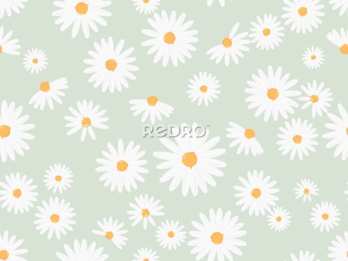 Fototapete Seamless pattern with daisy flower on green background vector illustration. Cute floral print.