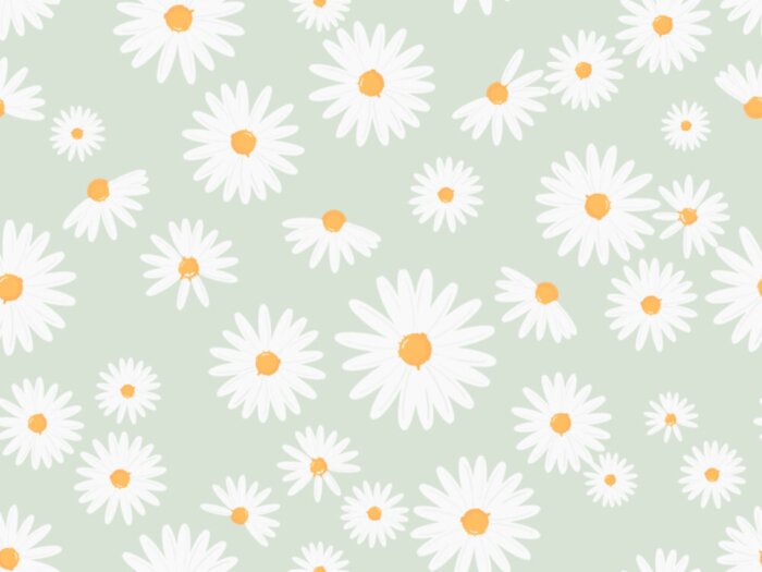 Fototapete Seamless pattern with daisy flower on green background vector illustration. Cute floral print.