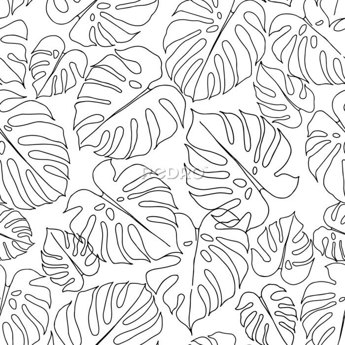 Fototapete Seamless pattern with monstera leaves on white background. Vector monochrome illustration. Hand-drawn leaf outlines.