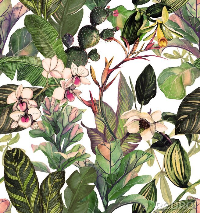 Fototapete  Seamless pattern with tropical leaves and flowers. watercolor pattern with a magnolia flower, orchids, cactus, white orchid phalinopsis. Botanical background