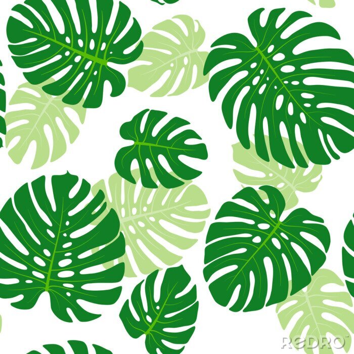 Fototapete Seamless pattern with tropical leaves of monstera