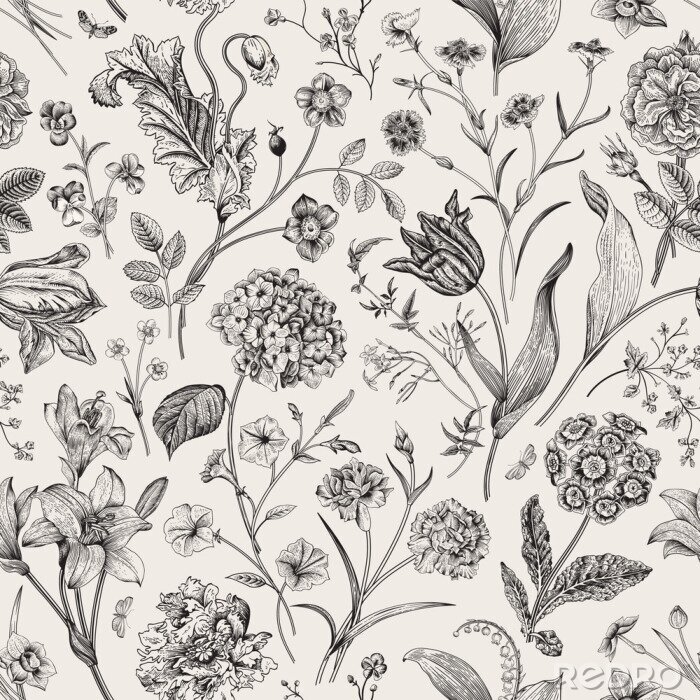 Fototapete Seamless vector vintage floral pattern. Classic illustration. Black and white..