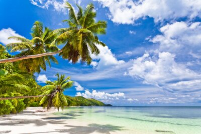 Fototapete See und Palmen auf den Seychellen