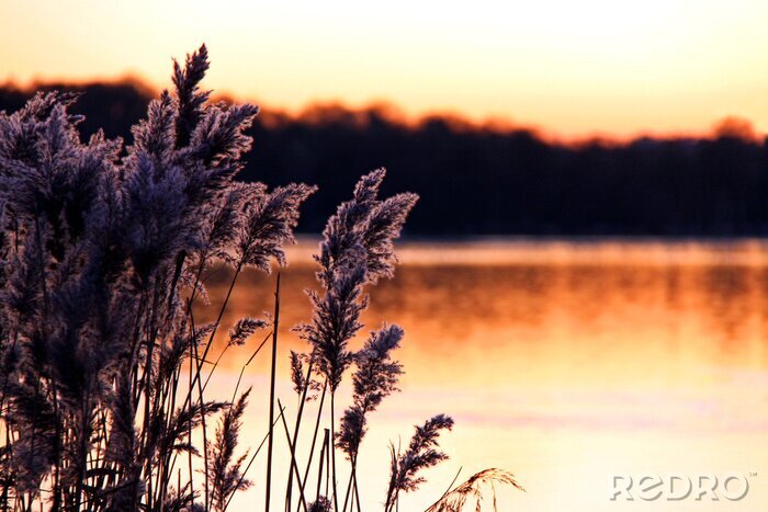 Fototapete Seenatur bei Sonnenuntergang