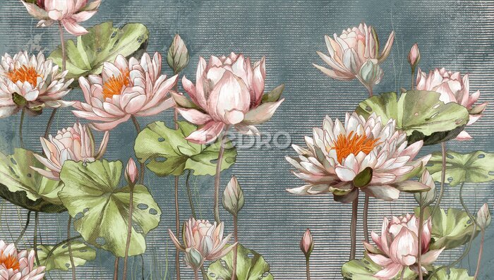 Fototapete Seerosen und grüne Blätter