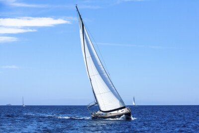 Segelboot mit hohem weißem Segel