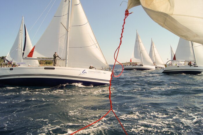 Fototapete Segelregatta mit weißen Segelbooten