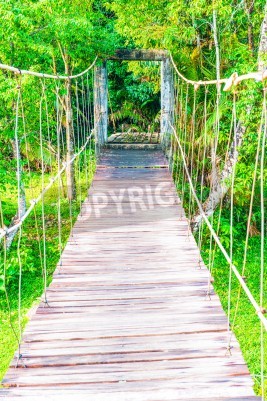 Fototapete Seilbrücke auf grünem Hintergrund