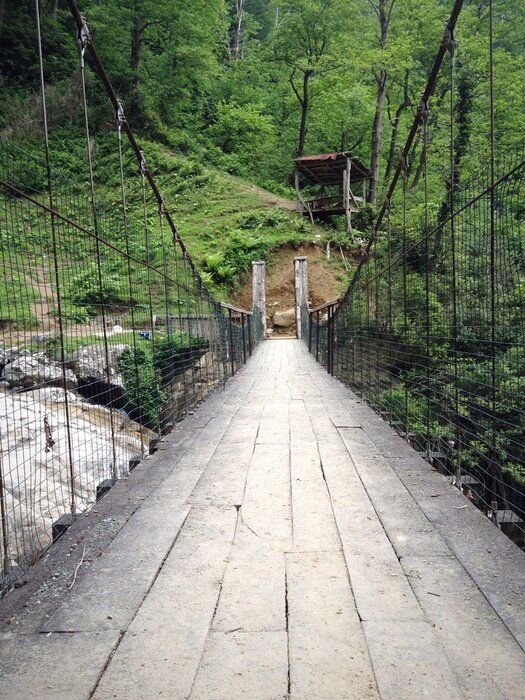 Fototapete Seilbrücke im 
Seilbrücke im gebirgigen Wald