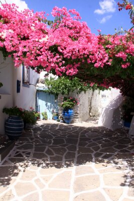 Fototapete Seitengasse in Griechenland mit Blumen