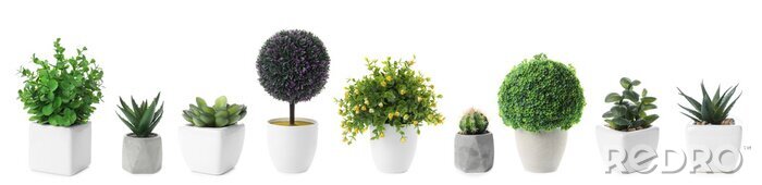 Fototapete Set of artificial plants in flower pots isolated on white. Banner design