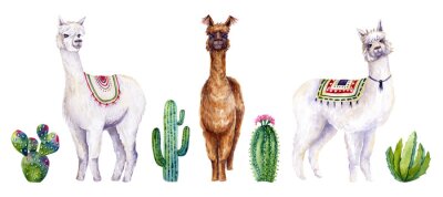 Set of watercolor alpacas and cactus. Colorful illustration isolated on white. Hand painted animals and plants perfect for card making, wallpaper, fabric textile, interior design