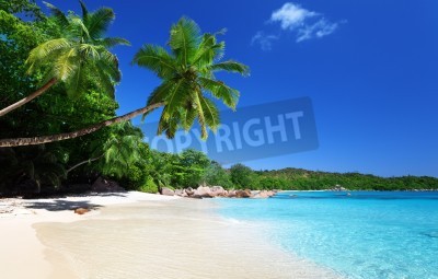 Fototapete Seychellen und Strand