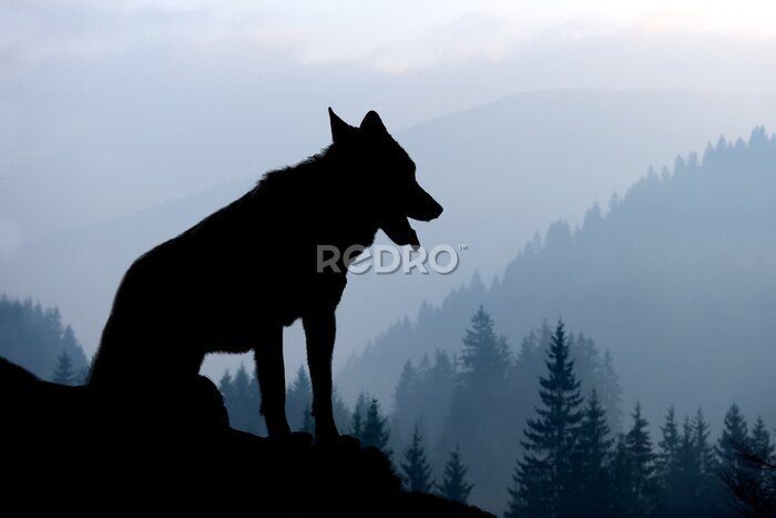 Fototapete Silhouette eines Wolfes vor dem Hintergrund einer Berglandschaft