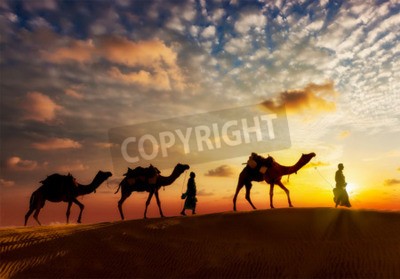 Fototapete Silhouetten von Menschen und Kamelen in der Wüste