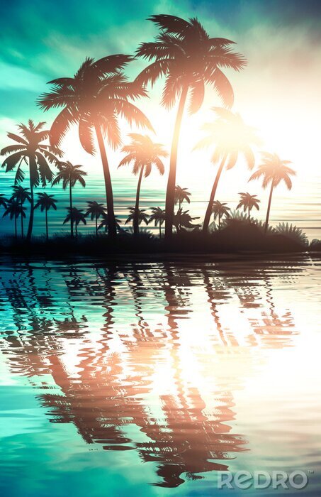 Fototapete Silhouetten von Palmen