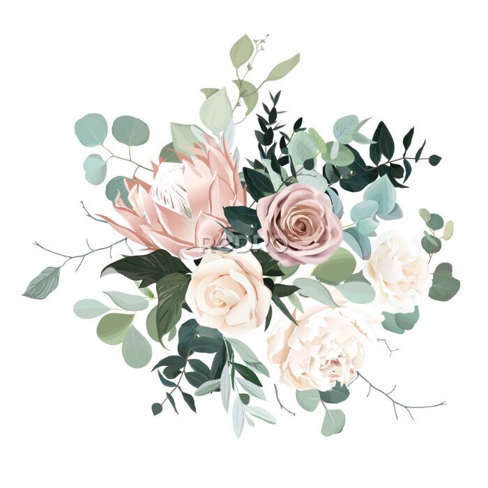 Fototapete Silver sage and blush pink flowers vector design bouquet.