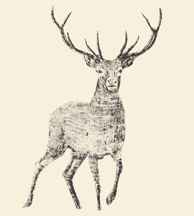 Fototapete Skandinavischer Stil mit Hirsch Vintage