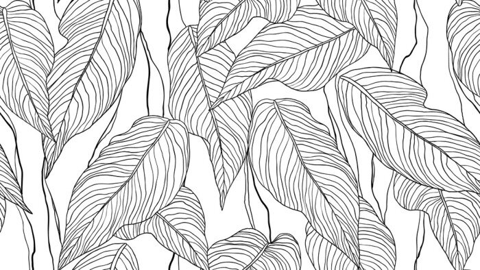 Fototapete Skizze der Blätter, die ihre Struktur zeigt