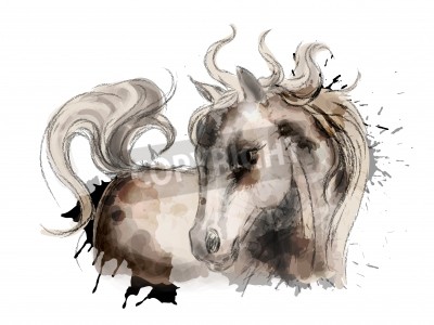 Fototapete Skizze eines pferdes in aquarell