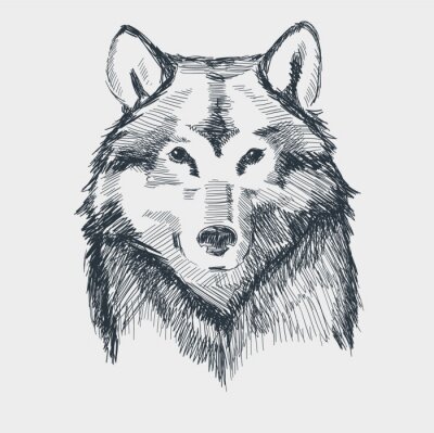 Fototapete Skizze eines schwarz-weißen Wolfes